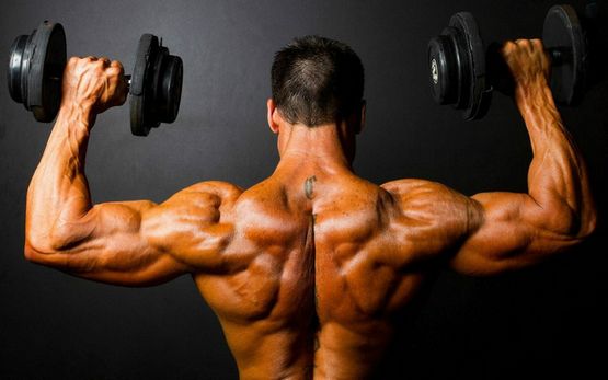 Clenbuterol Comprar Online: Todo lo que Necesitas Saber Clenbuterol Comprar Online: Todo lo que Necesitas Saber